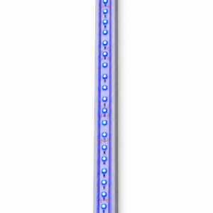 500 00001 01(1)