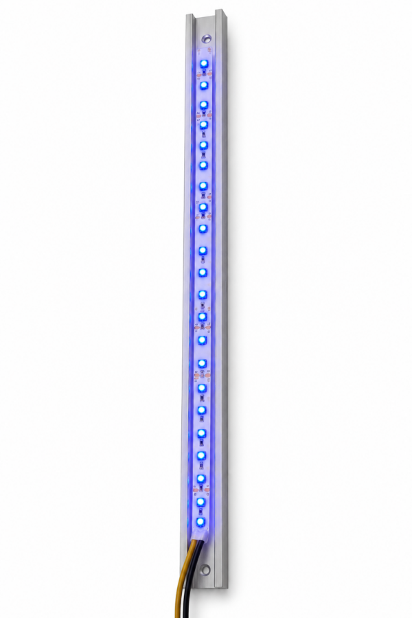 500 00001 01(1)